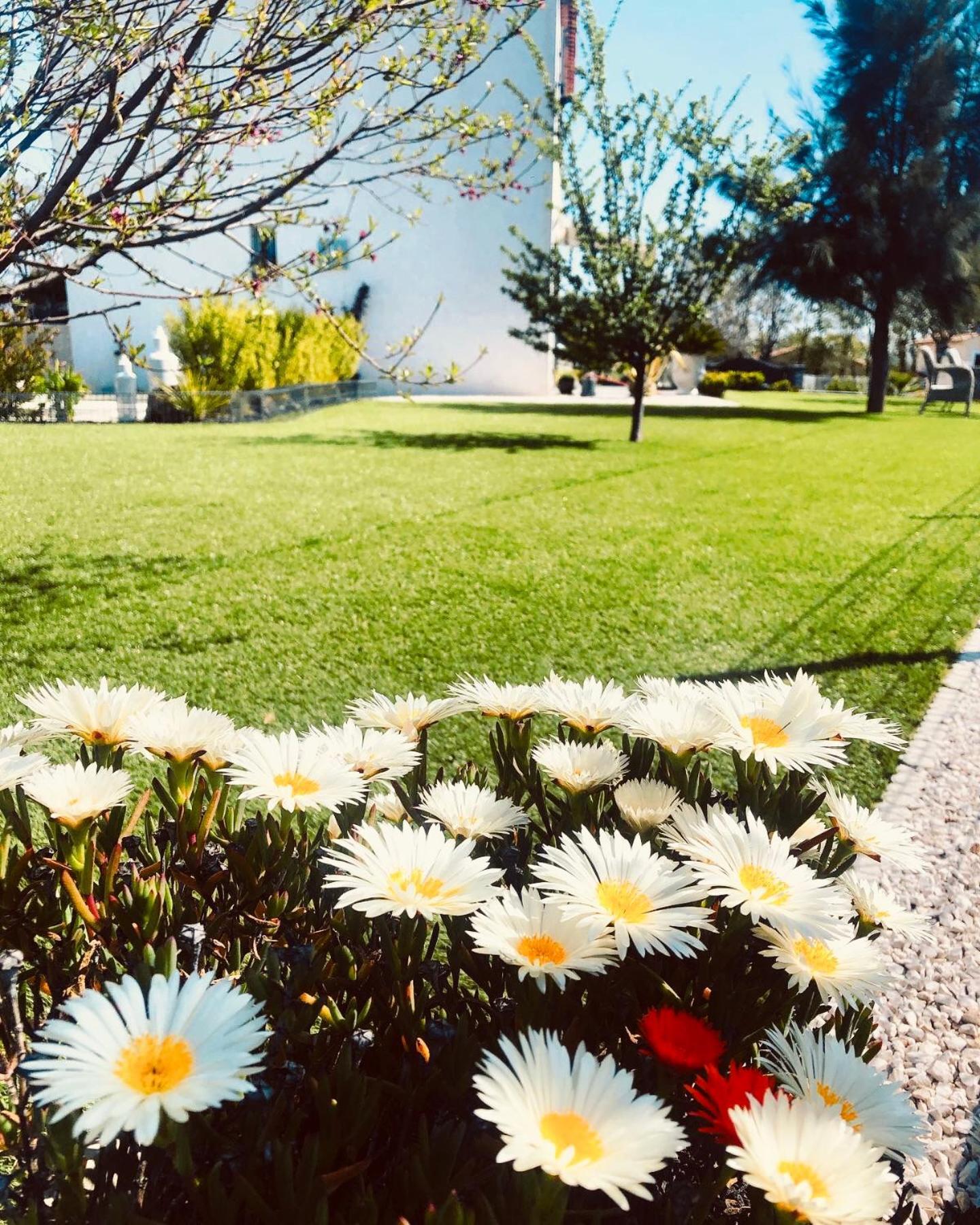 Villa Maolo 2 Roquebrune-sur Argens Luaran gambar